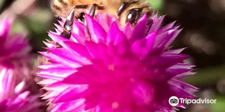 Cutler Botanic Garden