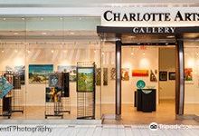 Charlotte Arts Gallery景点图片