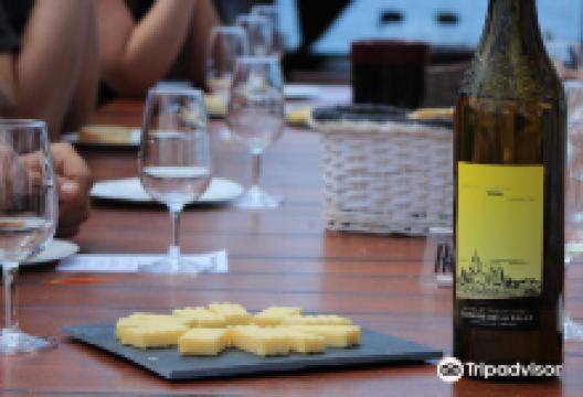 VinoHelp景点图片