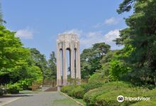 Tamareien Cemetary景点图片
