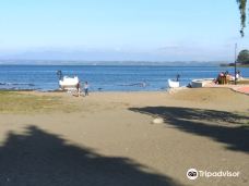 Playa Los Cisnes-兰奎休