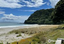 Matarangi Beach景点图片