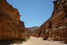 Coloured Canyon景点图片