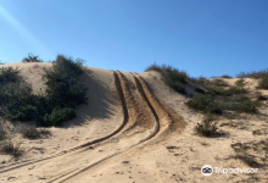 Nitsanim Dunes Nature Reserve景点图片