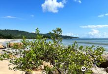 Cordas' Beach景点图片