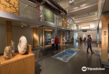 索美塞特博物館景点图片