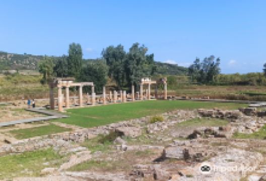 Temple of Artemis景点图片