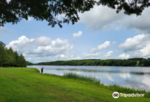 Aroostook State Park景点图片