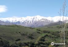 Your Bike购物图片