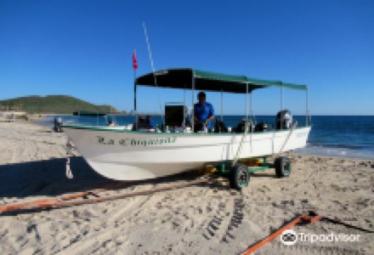 Cabo Pulmo Diving Station购物图片