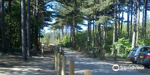 Freshfield Squirrel Reserve