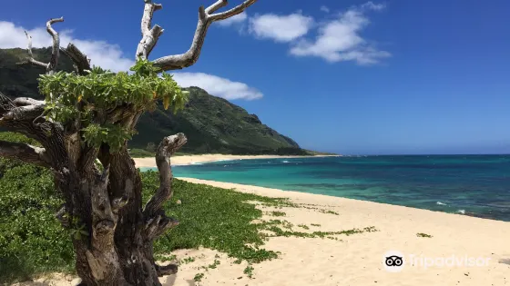 莫庫雷阿海灘