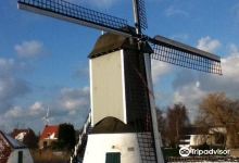 Oostmolen Windmill景点图片