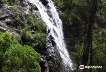 Basin Creek Falls景点图片