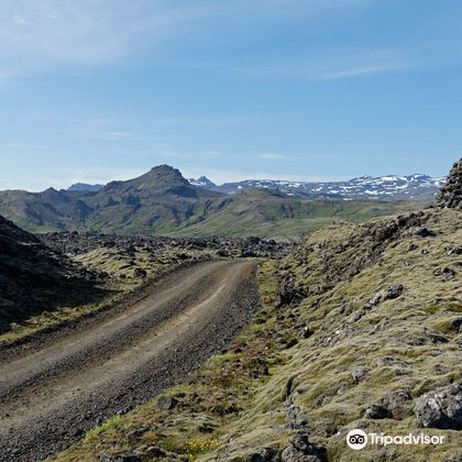 冰岛Berserkjahraun+Kirkjufellsfoss+阿尔纳斯塔皮一日游