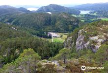 Svartfjellet景点图片