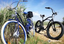 Cruiser King购物图片