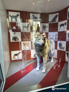 特罗姆瑟大学博物馆-特罗姆瑟