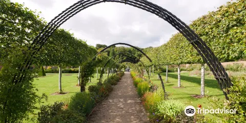 Bangor Castle Walled Garden