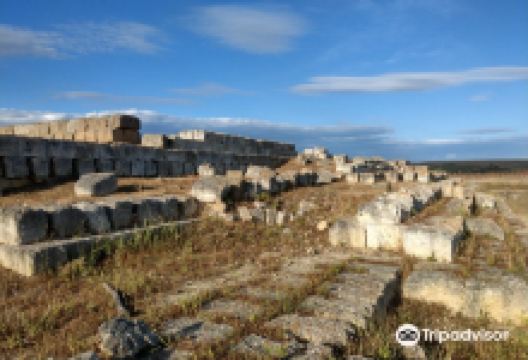 Ara della Regina景点图片