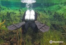 Ewens Pond景点图片