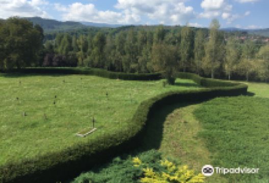 Cimitirul Săracilor景点图片