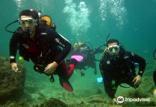 Divingmania购物图片