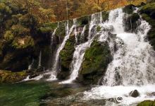 Izvir Bistrice景点图片