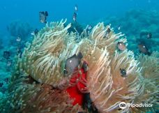 Tamarin OceanPro Divingcenter-塔马兰