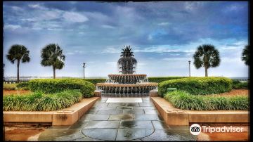 Pineapple Fountain