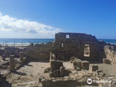 巴埃洛克劳狄亚-塔里法