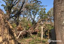 芥川山城迹景点图片