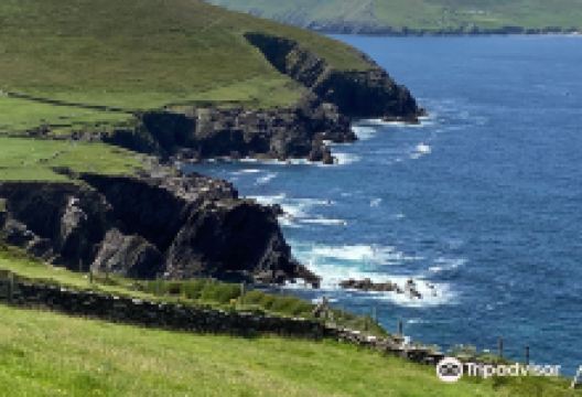 Dingle Electric Bike Experience购物图片