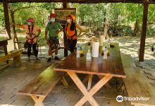 Monkey Jungle Zip Line Canopy Tour景点图片