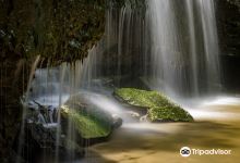 Nerstrand Big Woods State Park景点图片