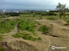 Parque Urbano de Ponta Delgada-蓬塔德尔加达