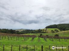 Man O' War Vineyards-怀希基岛