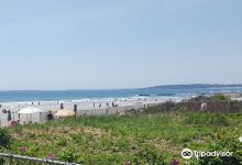 Higgins Beach景点图片