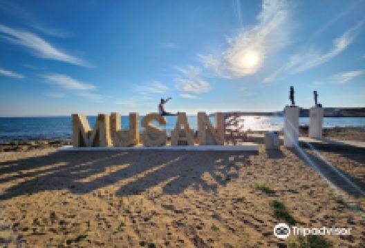 Underwater sculpture park景点图片