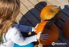 Dill's Atlantic Giant Pumpkin Farm景点图片