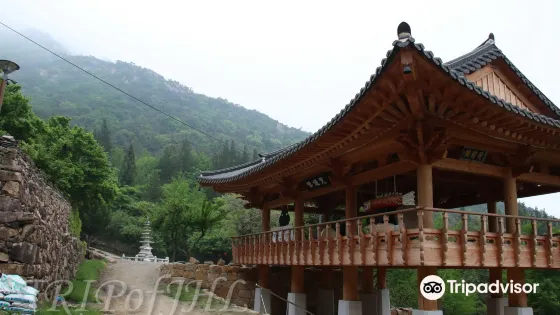 金屯寺
