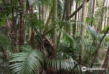 The Palms National Park景点图片