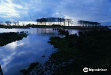 Meetjesland景点图片