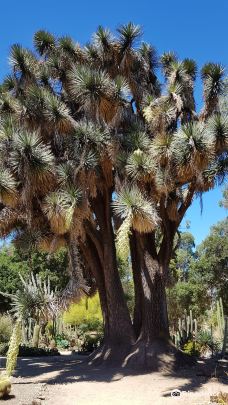 Arizona Garden-马里科帕