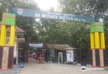 Hutan Payau景点图片
