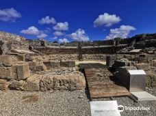 巴埃洛克劳狄亚-塔里法