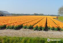 Annemieke's Pluktuin景点图片