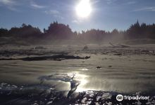 Woodend Beach景点图片