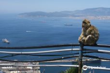 Skywalk Gibraltar-直布罗陀