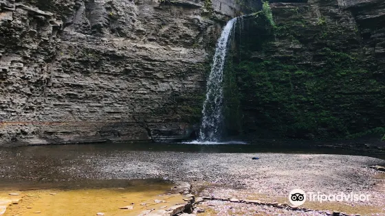 Havana Glen Park